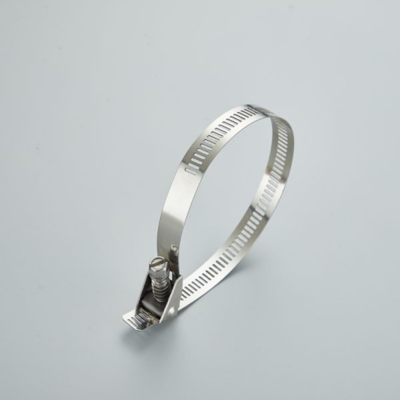 ما هو المعيار الذي يمكن أن تلبيه مشابك خراطيم الفولاذ المقاوم للصدأ لدخول سيارات الركاب؟